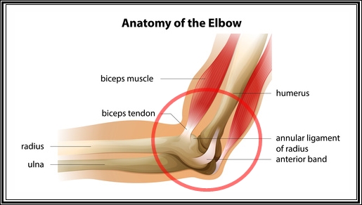 Physical Therapy for Bicep Tendonitis